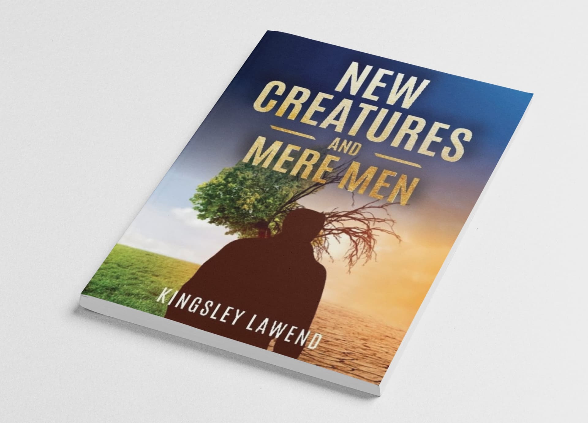 New Creation and the Mere Men
